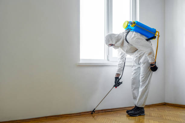 Real Estate Pest Inspections in Vail, AZ